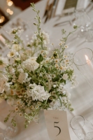 © Sarah Bizzini | sarahbizzini.com